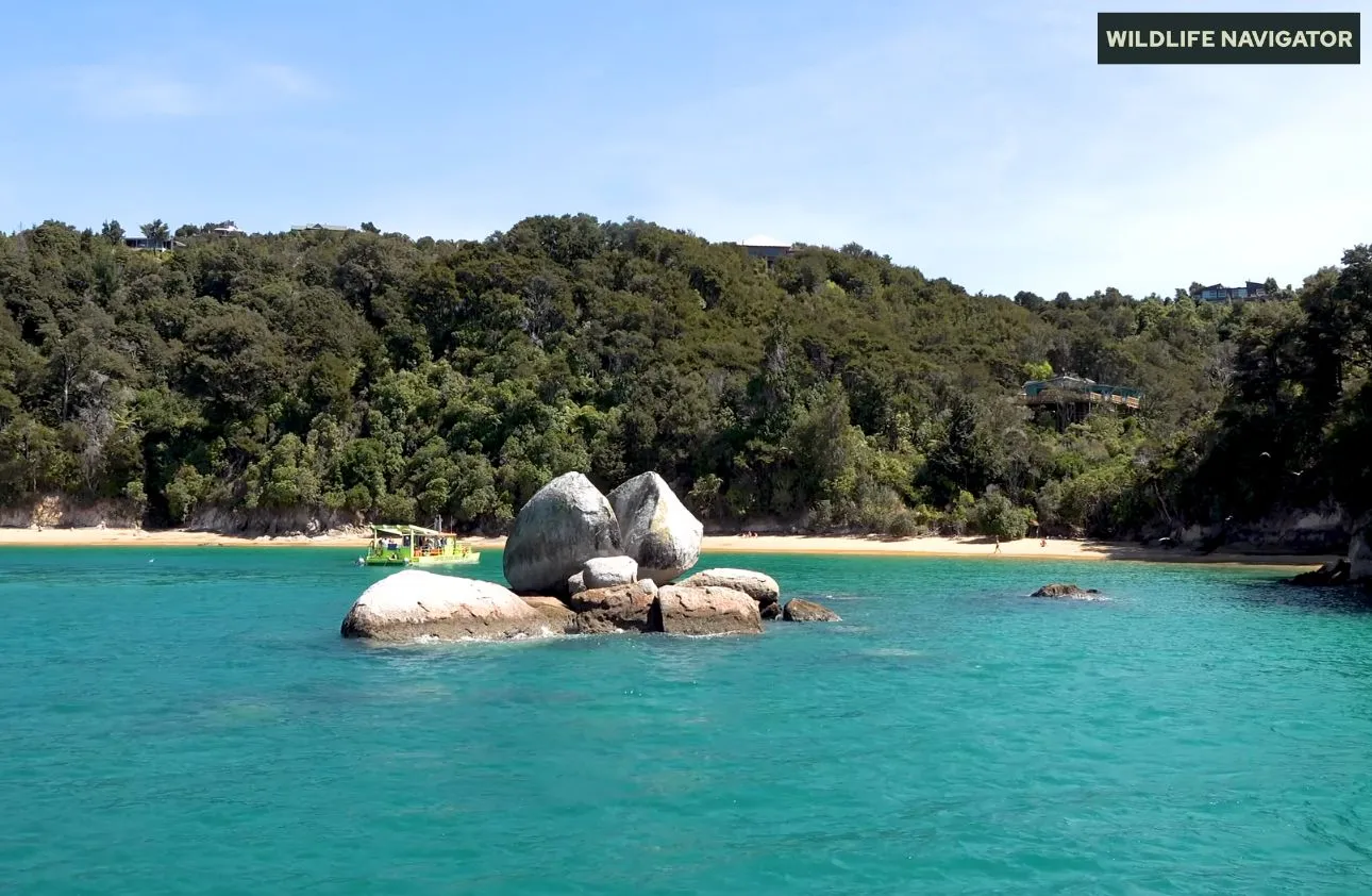 Abel Tasman National Park - South Island, New Zealand