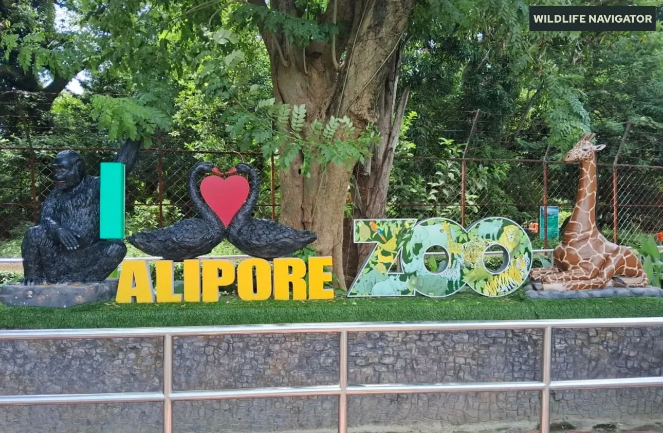 Alipore Zoo aka Kolkata Zoo