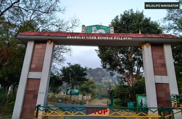 Anamalai Tiger Reserve