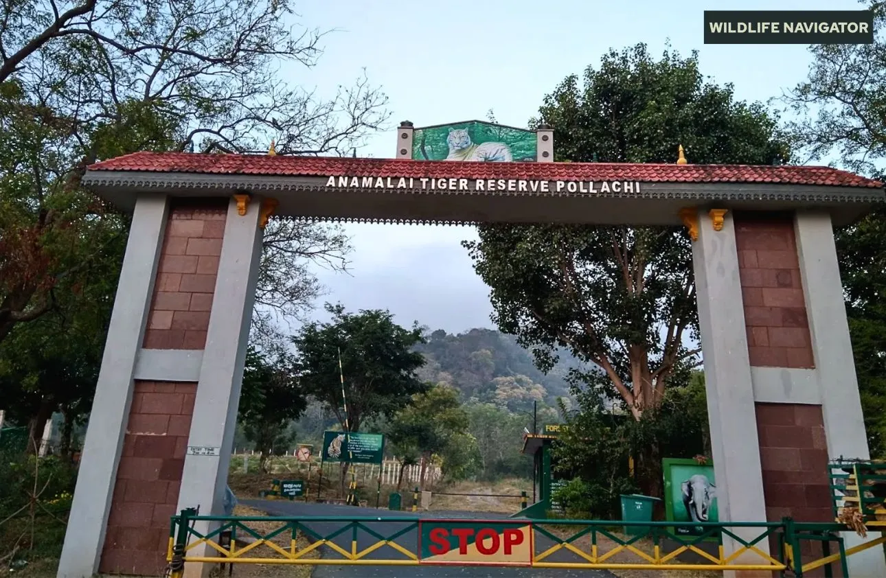 Anamalai Tiger Reserve