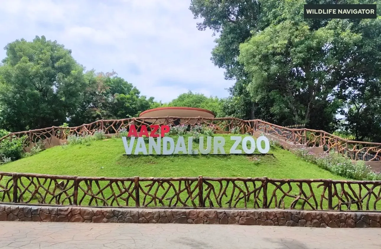 Arignar Anna Zoological Park