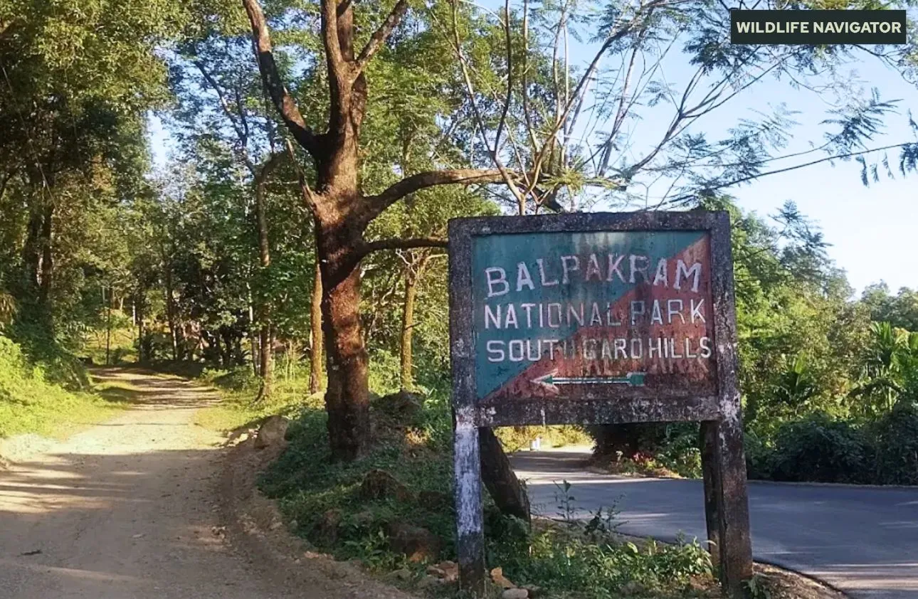 Balpakram National Park - South Garo Hills, Meghalaya