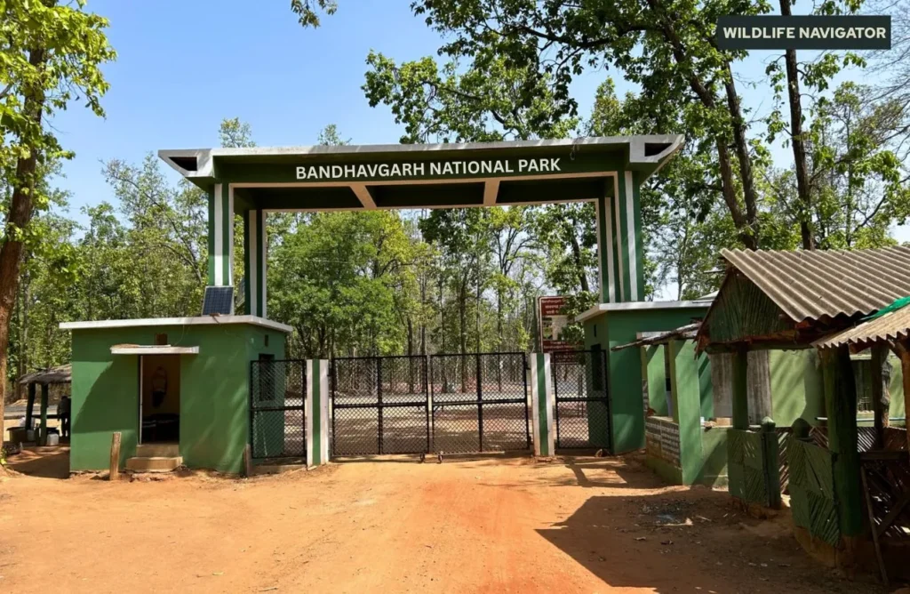 Bandhavgarh National Park and Tiger Reserve