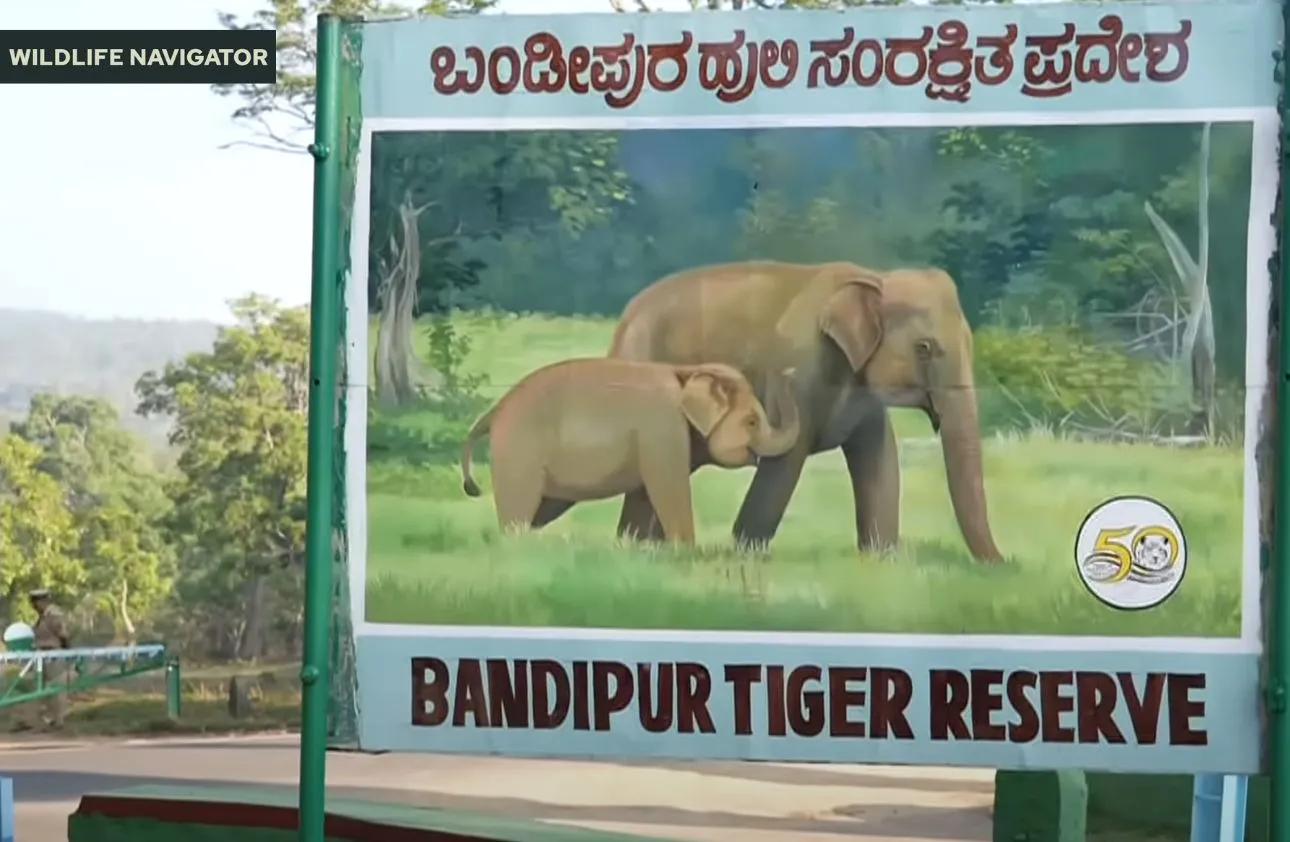 Bandipur National Park, Karnataka