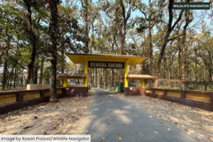 Bengal Safari, Siliguri: North Bengal Wild Animals Park Guide