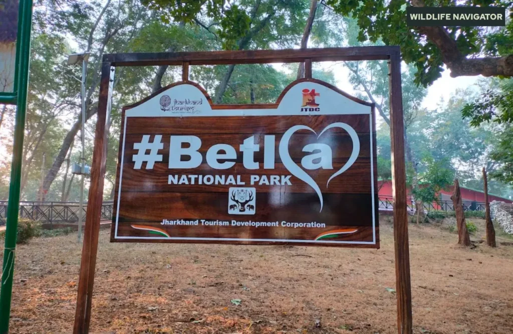 Betla National Park