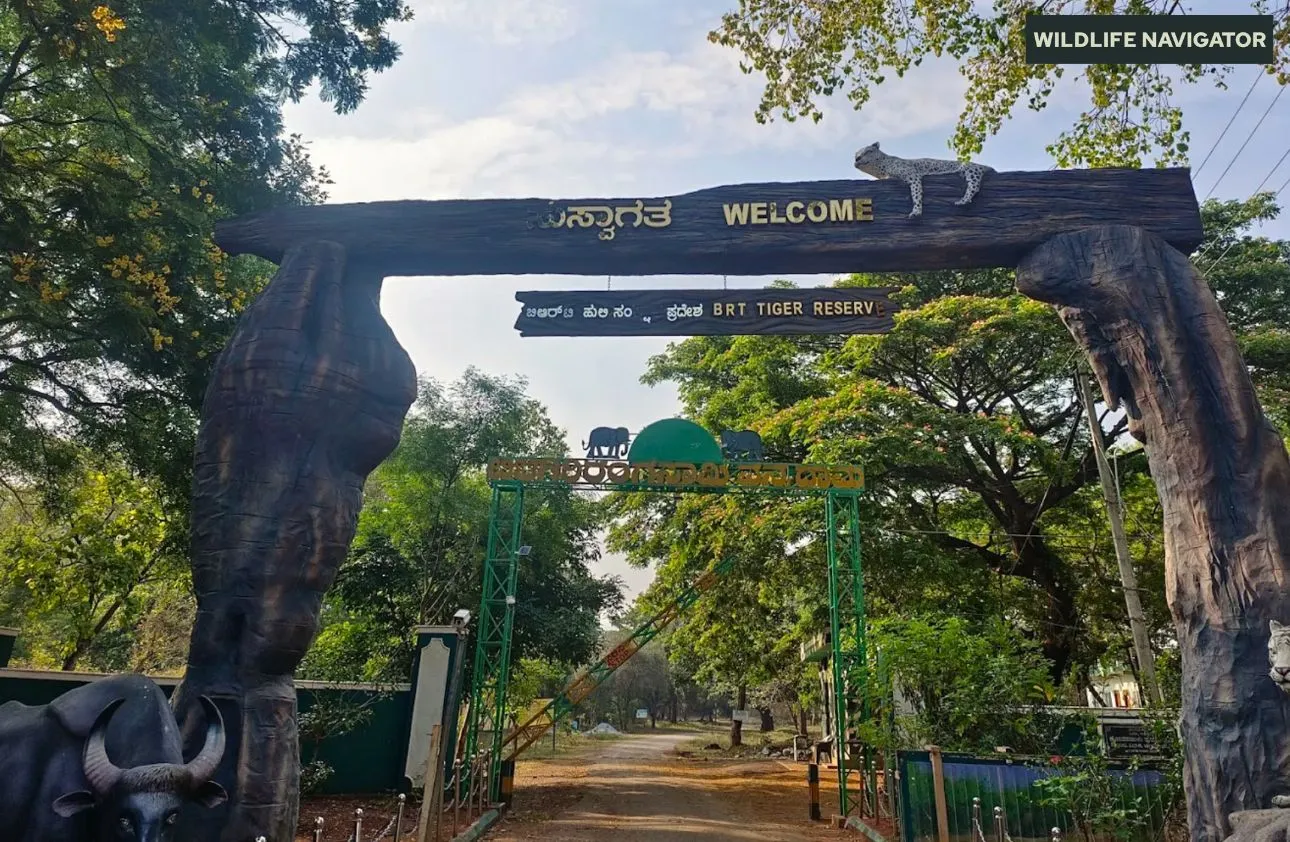 Biligiri Rangaswamy Temple Tiger Reserve