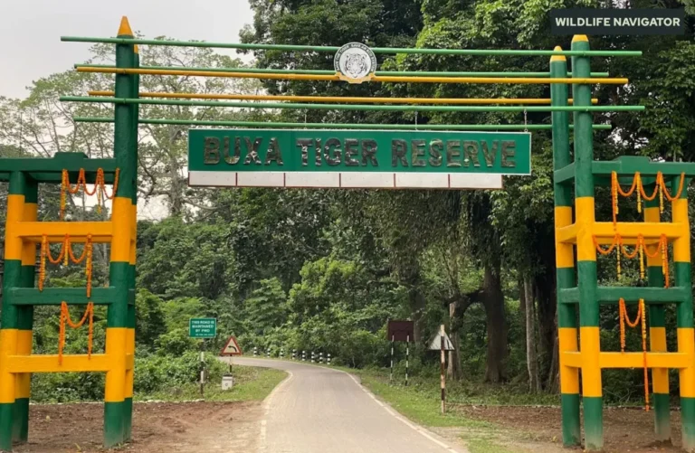 Buxa Tiger Reserve