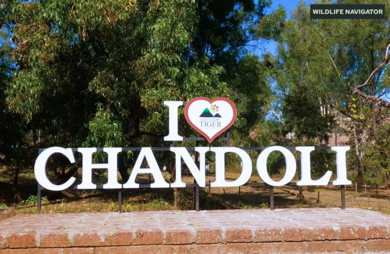 Chandoli National Park