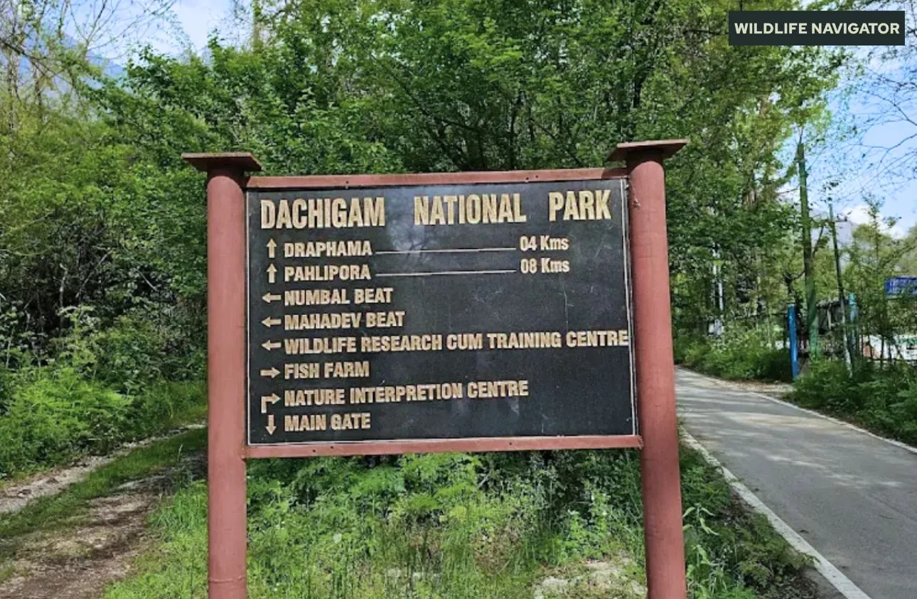 Dachigam National Park