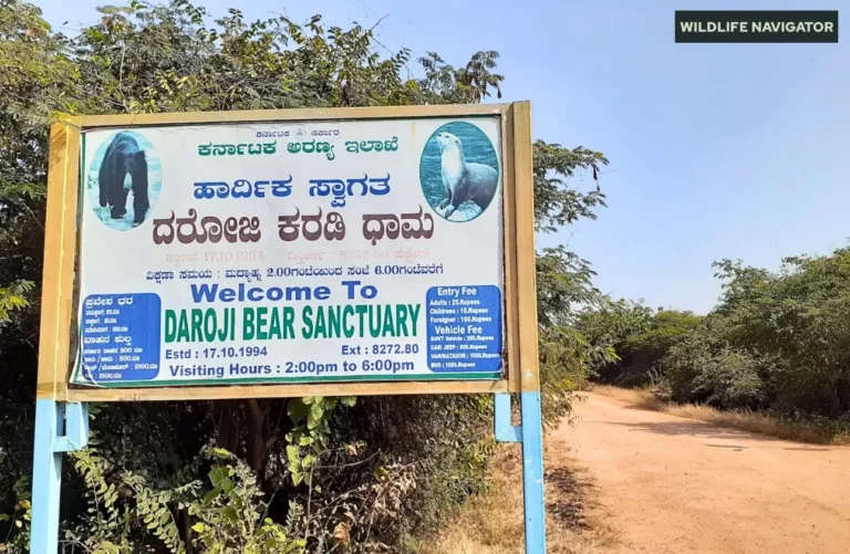 Daroji Sloth Bear Sanctuary