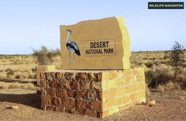 Desert National Park