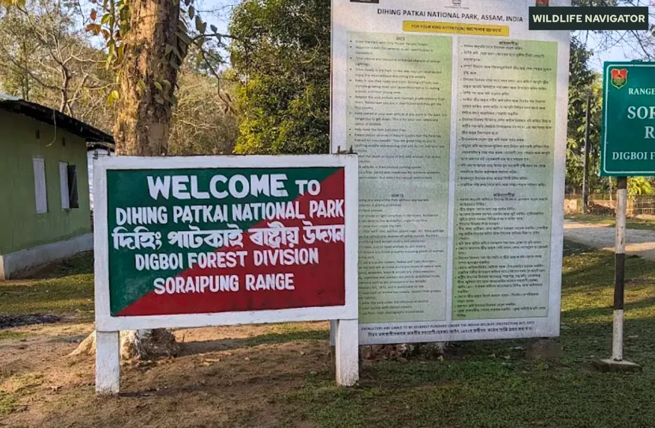 Dihing Patkai National Park