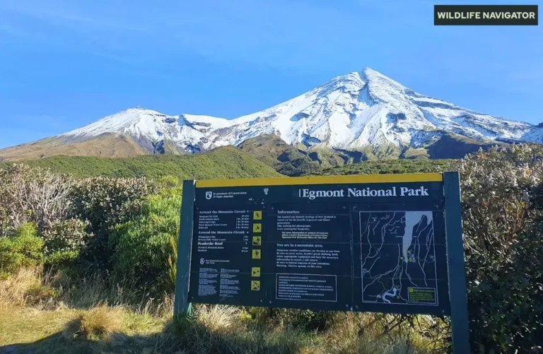 Egmont National Park - North Island, New Zealand