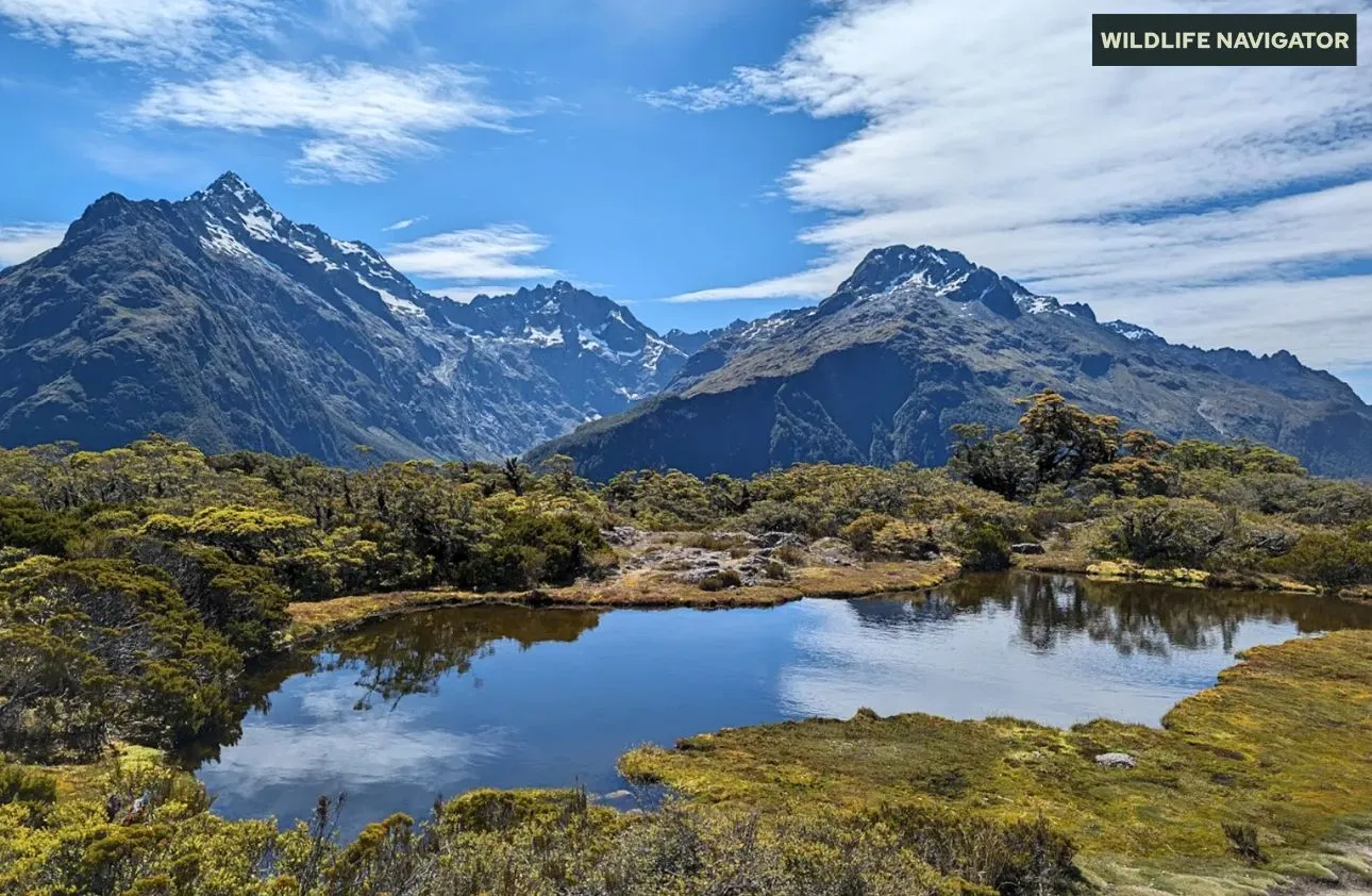 Fiordland National Park Travel Guide Milford Sound Hiking Trails 