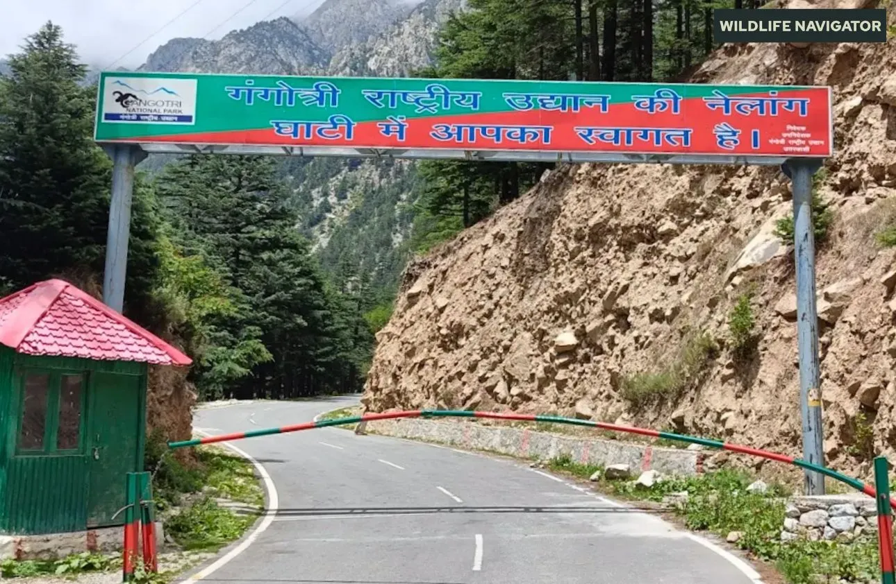 Gangotri National Park