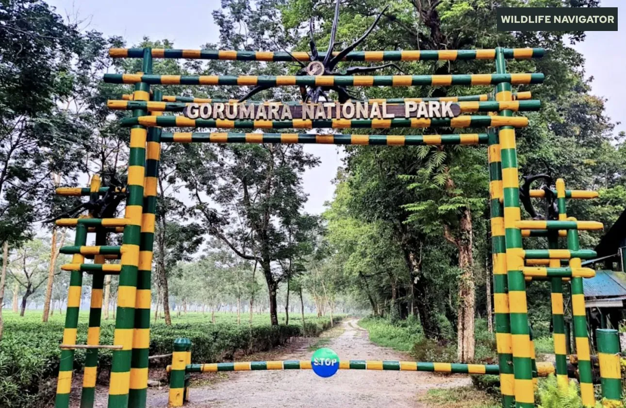 Gorumara National Park