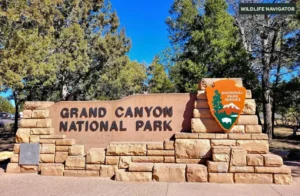 Grand Canyon National Park