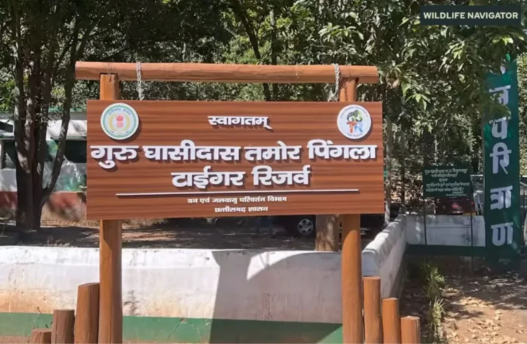 Guru Ghasidas Tamor Pingla Tiger Reserve