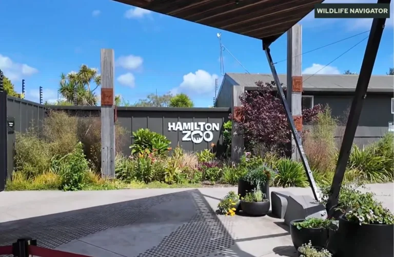 Hamilton Zoo, New Zealand