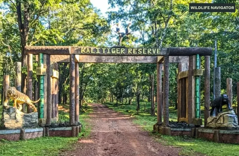 Kali Tiger Reserve, Anshi National park