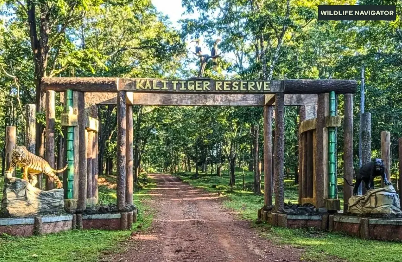 Kali Tiger Reserve, Anshi National park