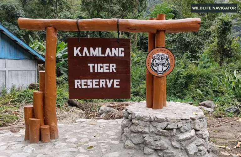 Kamlang Tiger Reserve