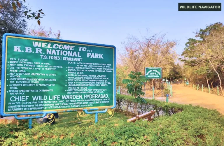 Kasu Brahmananda Reddy National Park