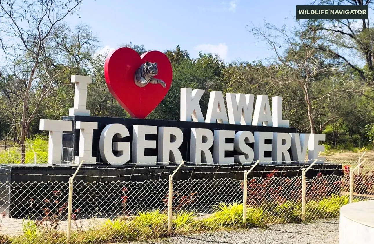Kawal Tiger Reserve