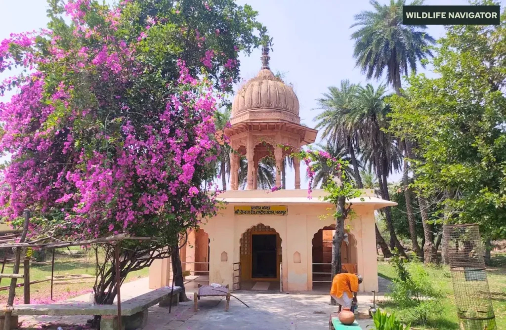 Keoladeo Temple, Bharatpur Bird Sanctuary