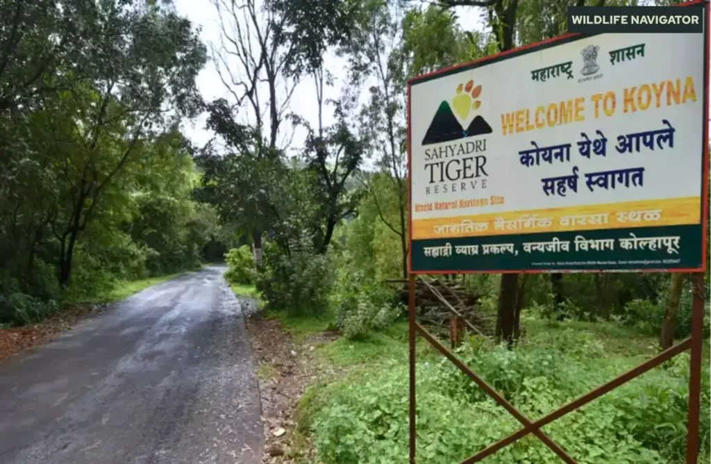Koyna Wildlife Sanctuary, Maharastra