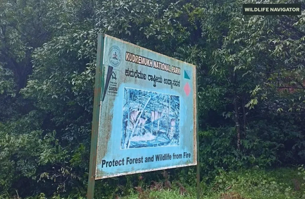 Kudremukh National Park