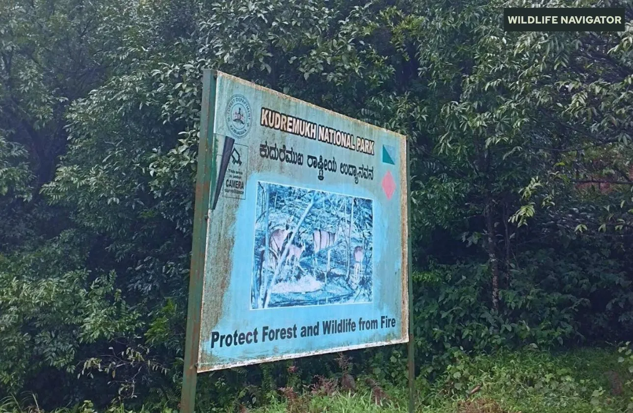 Kudremukh National Park