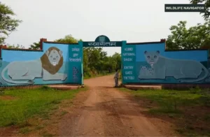 Kuno National Park, Madhya Pradesh
