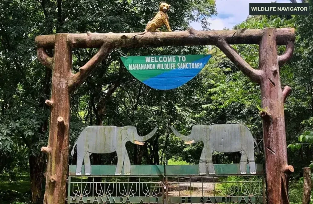 Mahananda Wildlife Sanctuary