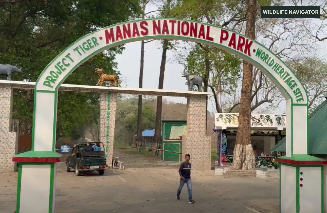 Manas National Park