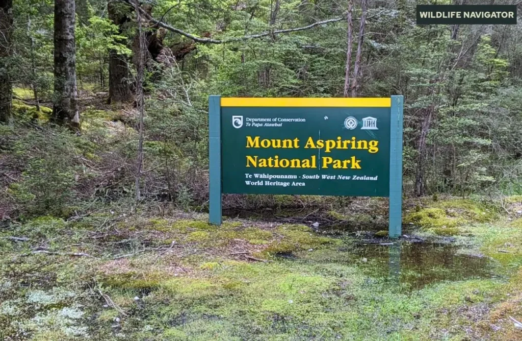 Mount Aspiring National Park