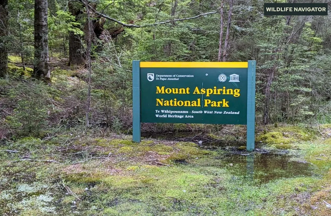 Mount Aspiring National Park