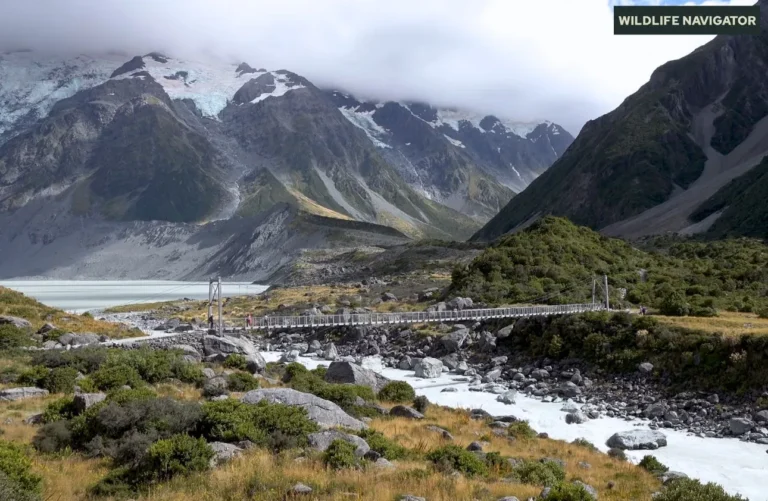 Mount Cook National Park, New Zealand