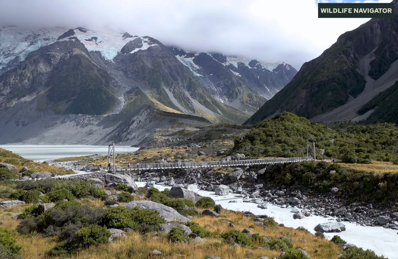 Mount Cook National Park, New Zealand