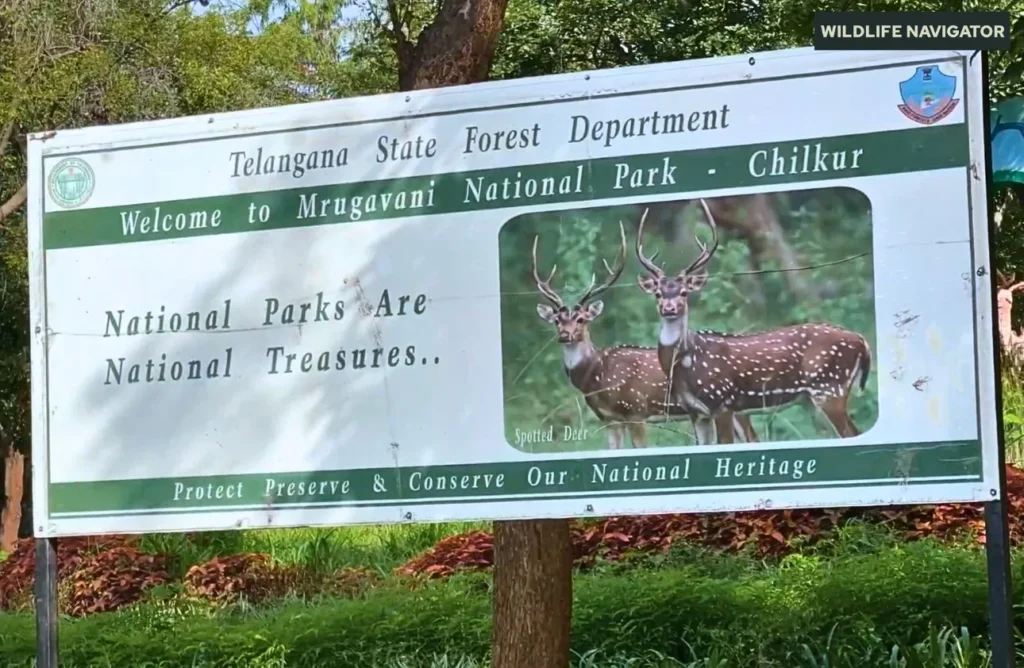 Mrugavani National Park
