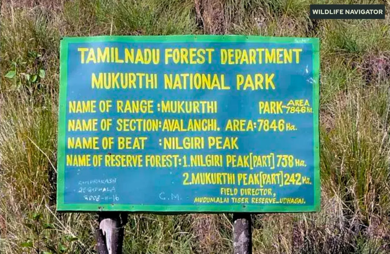 Mukurthi National Park