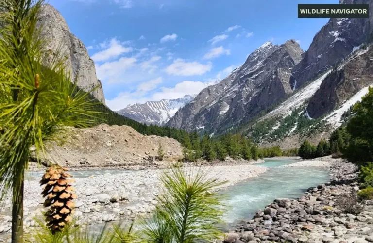 Nanda Devi National Park