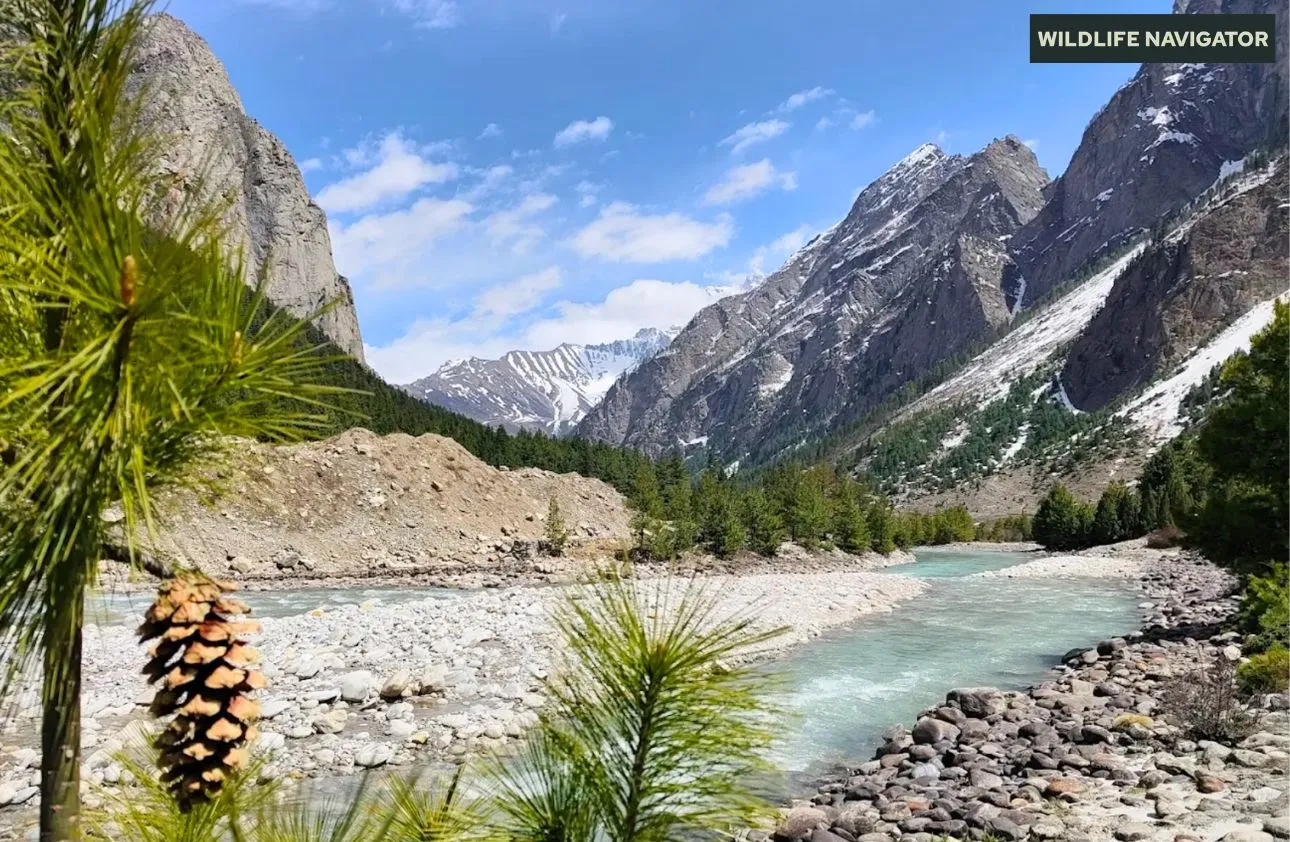 Nanda Devi National Park