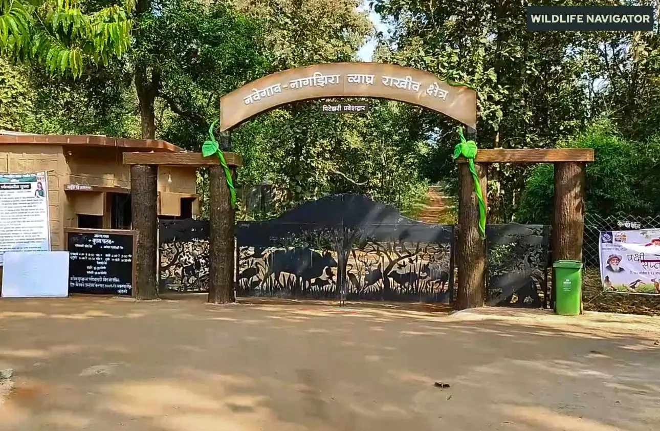 Nawegaon Nagzira Tiger Reserve