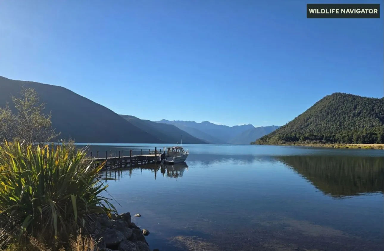 Nelson Lakes National Park