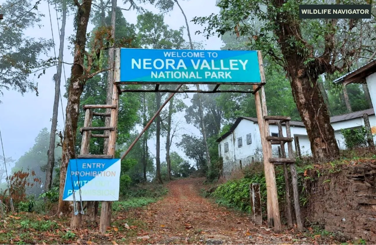 Neora Valley National Park