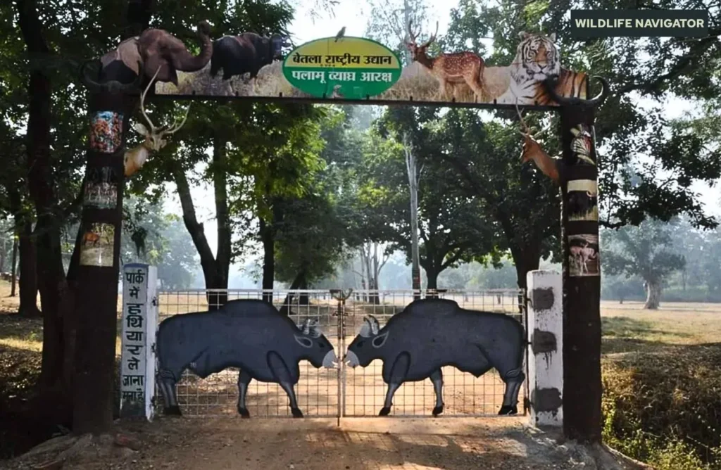 Palamau Tiger Reserve