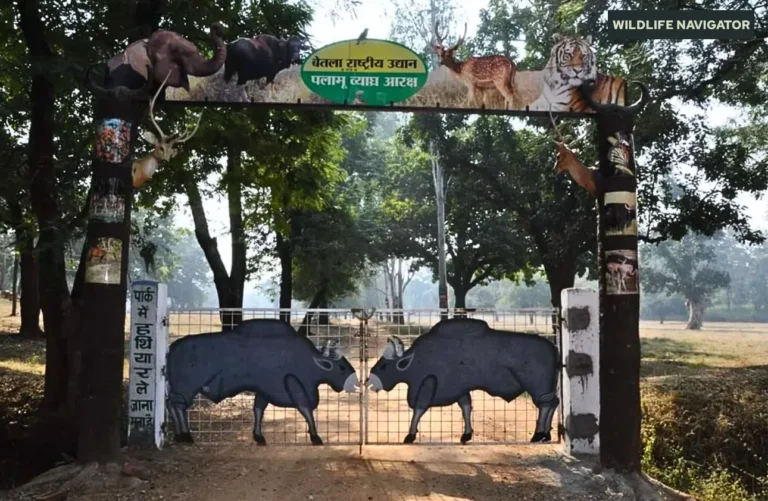 Palamau Tiger Reserve