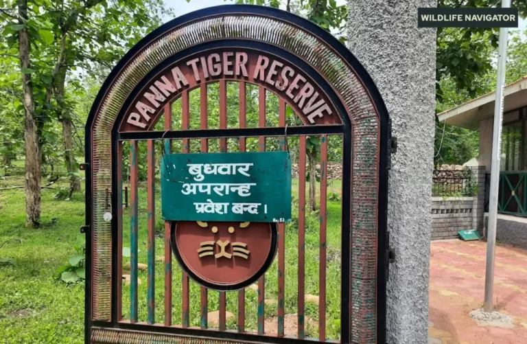 Panna National Park